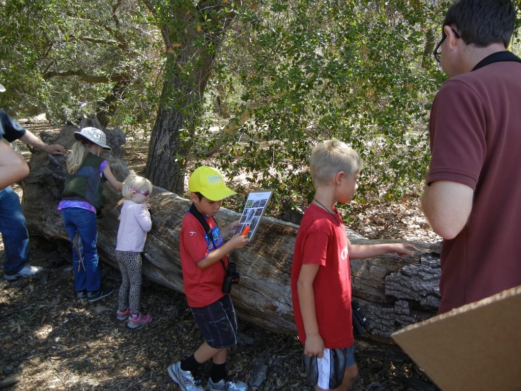 children with fallen tree trunk