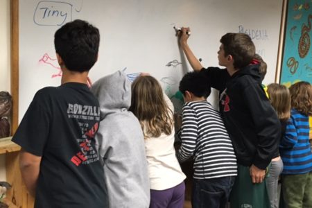 Kids art and letters campaign for cavity nesters