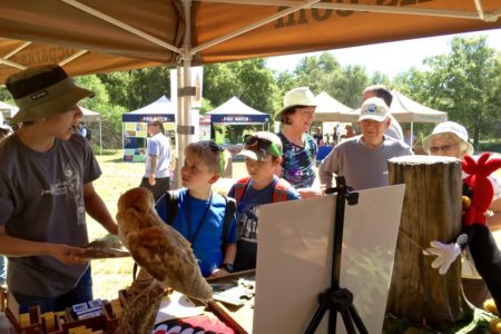 The Power of a Young Ambassador