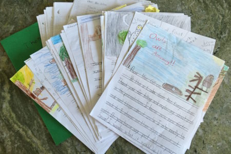 Owls have 120 young new enthusiasts